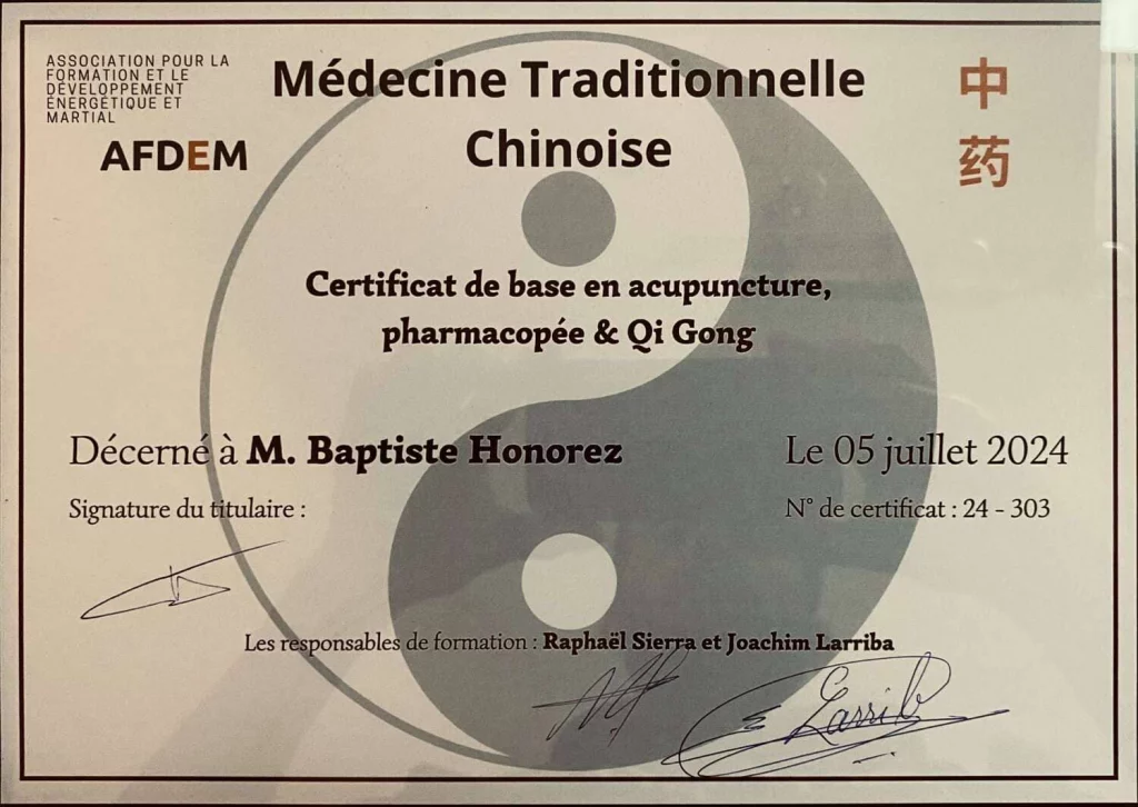 Certificat MTC en acupuncture, pharmacopée et Qi-Gong décerné à Baptiste Honorez